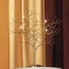 Lussole Настольная лампа декоративная Autunnale LSQ-9014-04